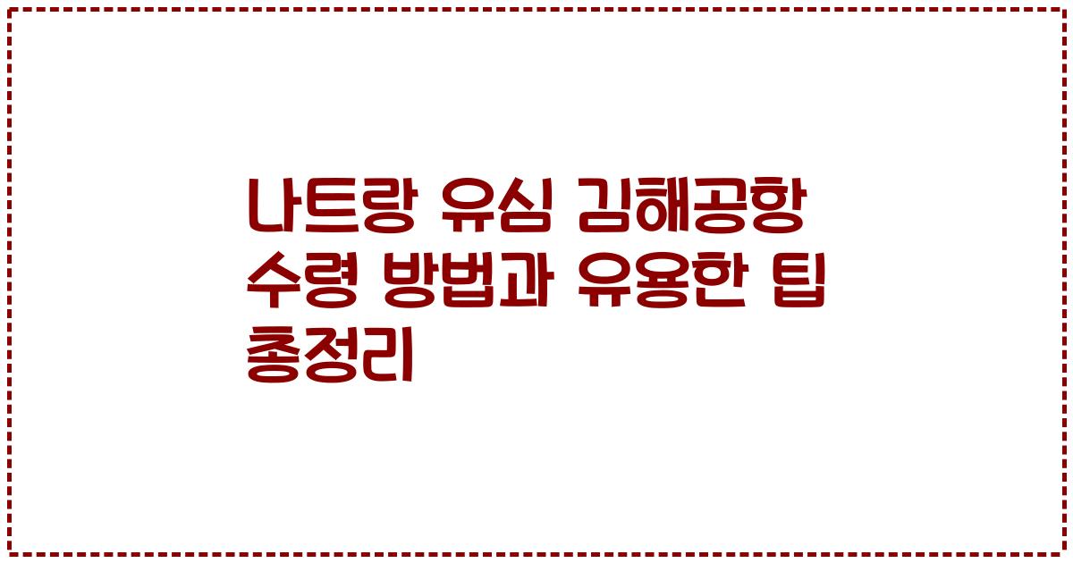 나트랑 유심 김해공항 수령 방법과 유용한 팁 총정리